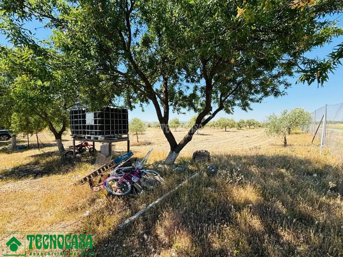 Land for sale in Mascaraque
