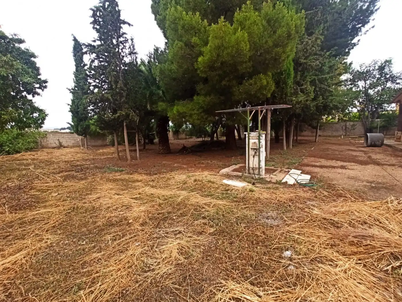 Terrenos y solares en venta en Hellín, imagen 3