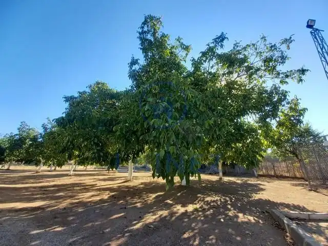 Terreny residencial en venda a Belmez, imagen 16