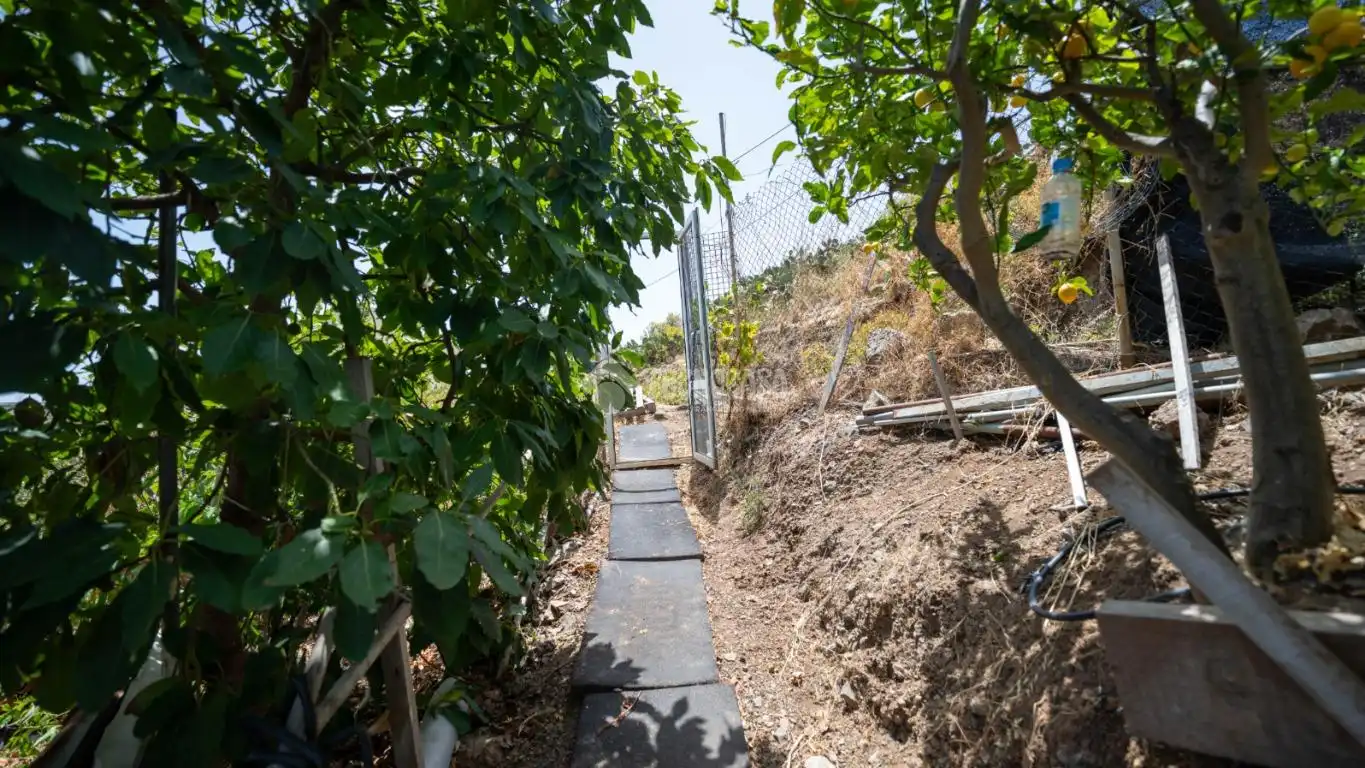 Terreny rústic en venda a Valsequillo de Gran Canaria, imagen 5