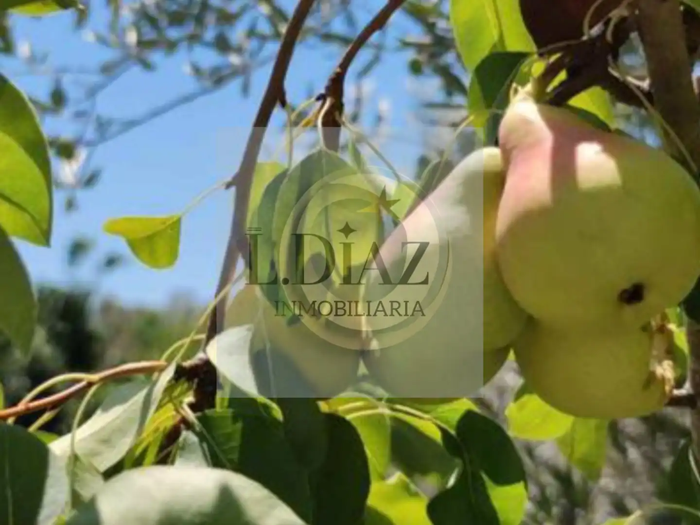 Jardín de Nave industrial en venta en Coín