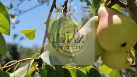 Foto 2 von Fabrikhallen zum Verkauf in Coín, Málaga