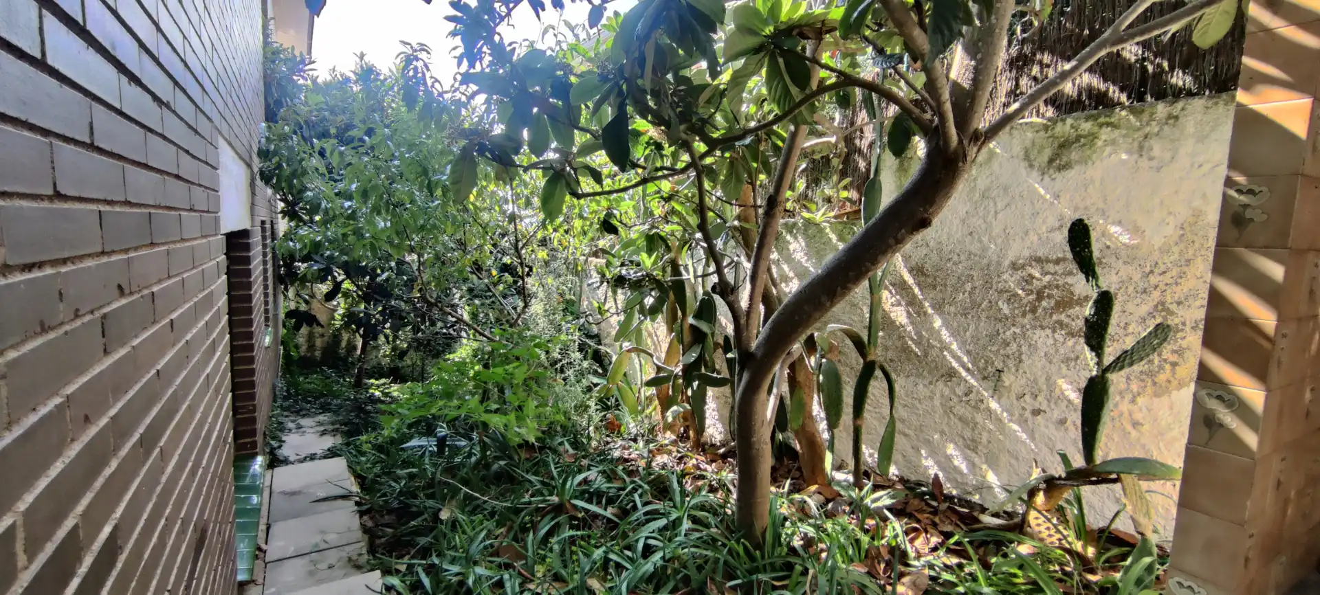 Casa o chalet en venta en Bellamar