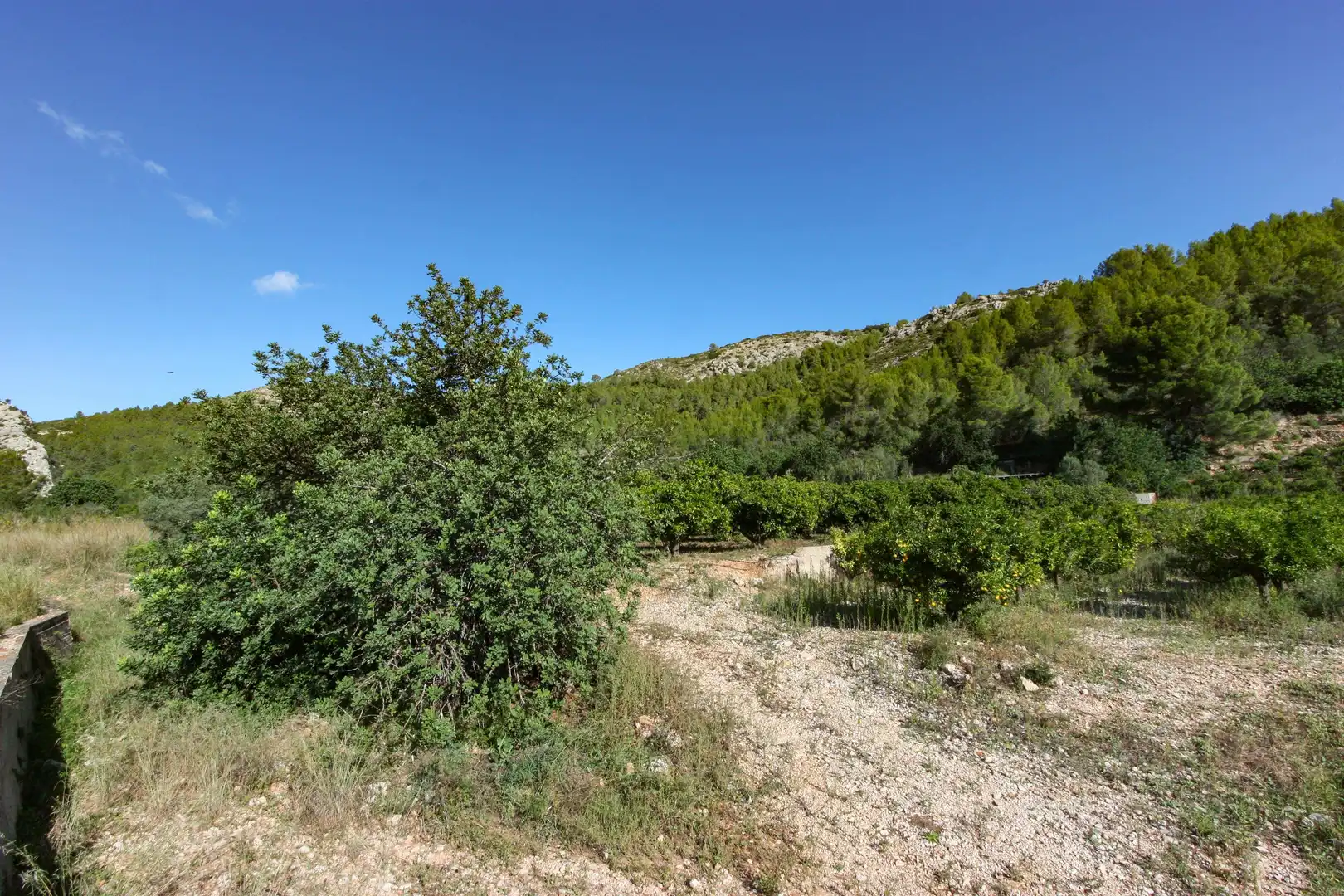 Wohnbaugrundstück zum Verkauf in Sagra, imagen 6