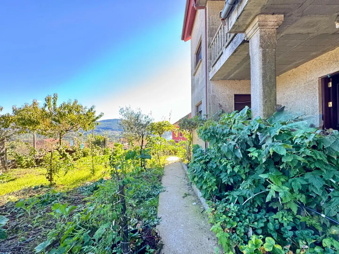 Jardín de Casa o chalet en venta en Mos con Jardín privado, Terraza y Trastero