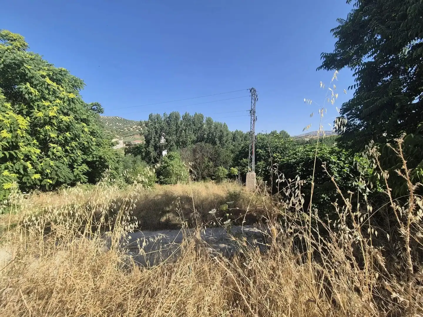 Terreno rústico en venta en Algarinejo, imagen 3