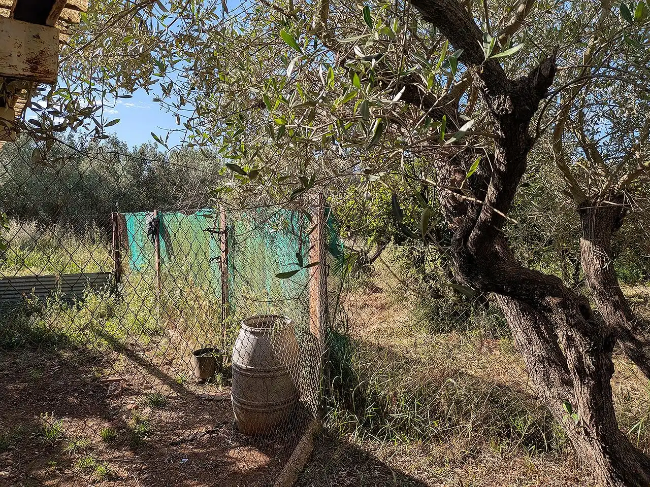 Garden of Country homes for sale in Ulldecona  with Terrace, Storage room and Swimming Pool