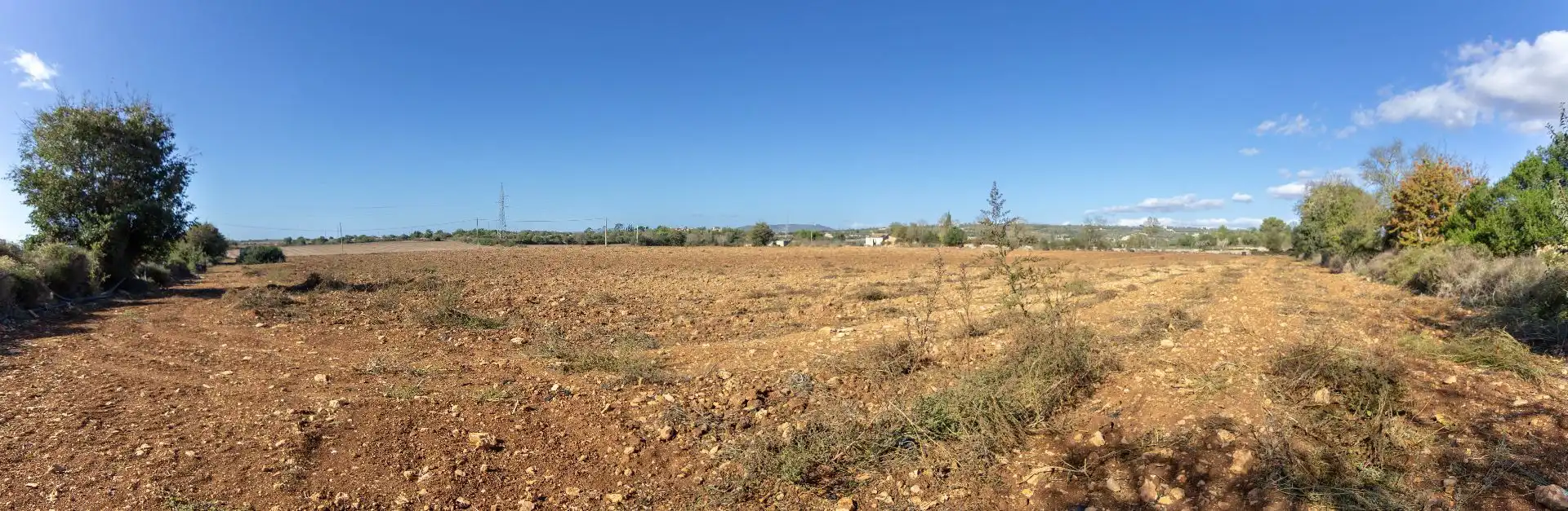 Land for sale in Ma-3321, Manacor Centre