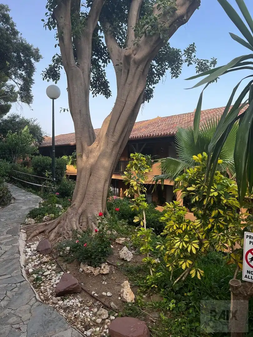 Vista exterior de Piso en venta en Mijas con Calefacción, Terraza y Trastero