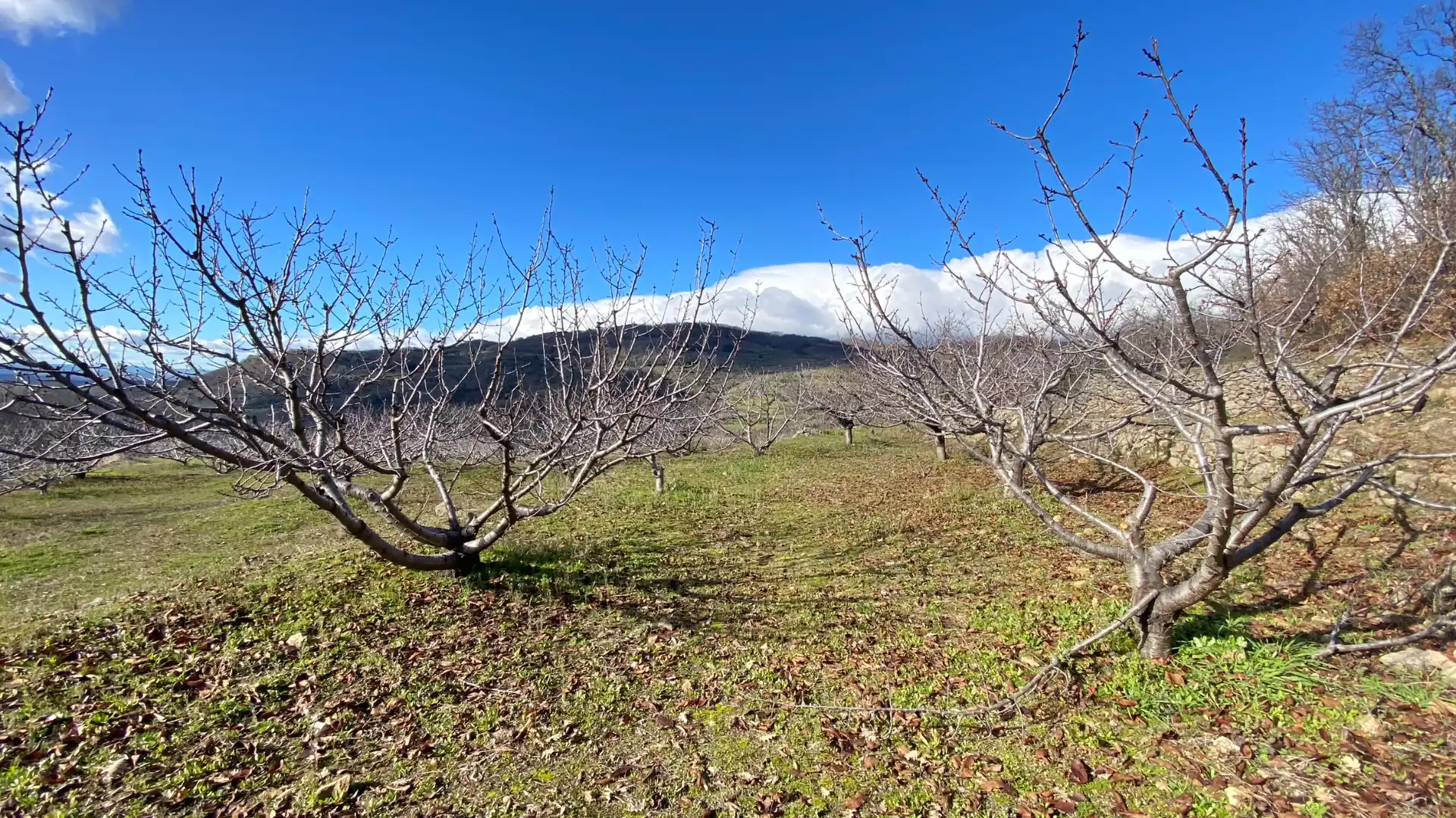 Terreni e lotti in vendita a Pasarón de la Vera, imagen 23