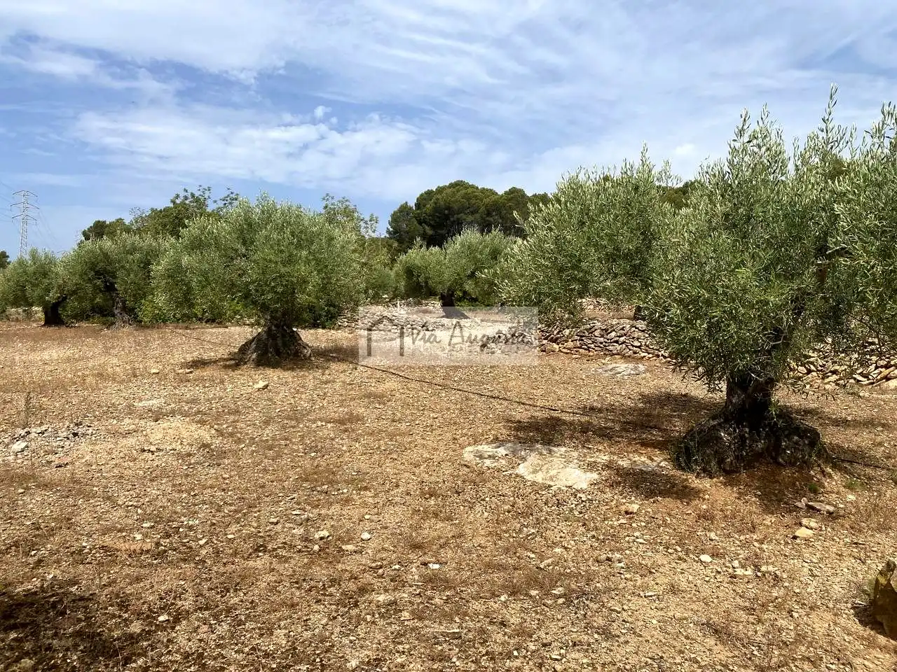Finca rústica en venta en Vandellòs i l'Hospitalet de l'Infant con Terraza, Trastero y Piscina
