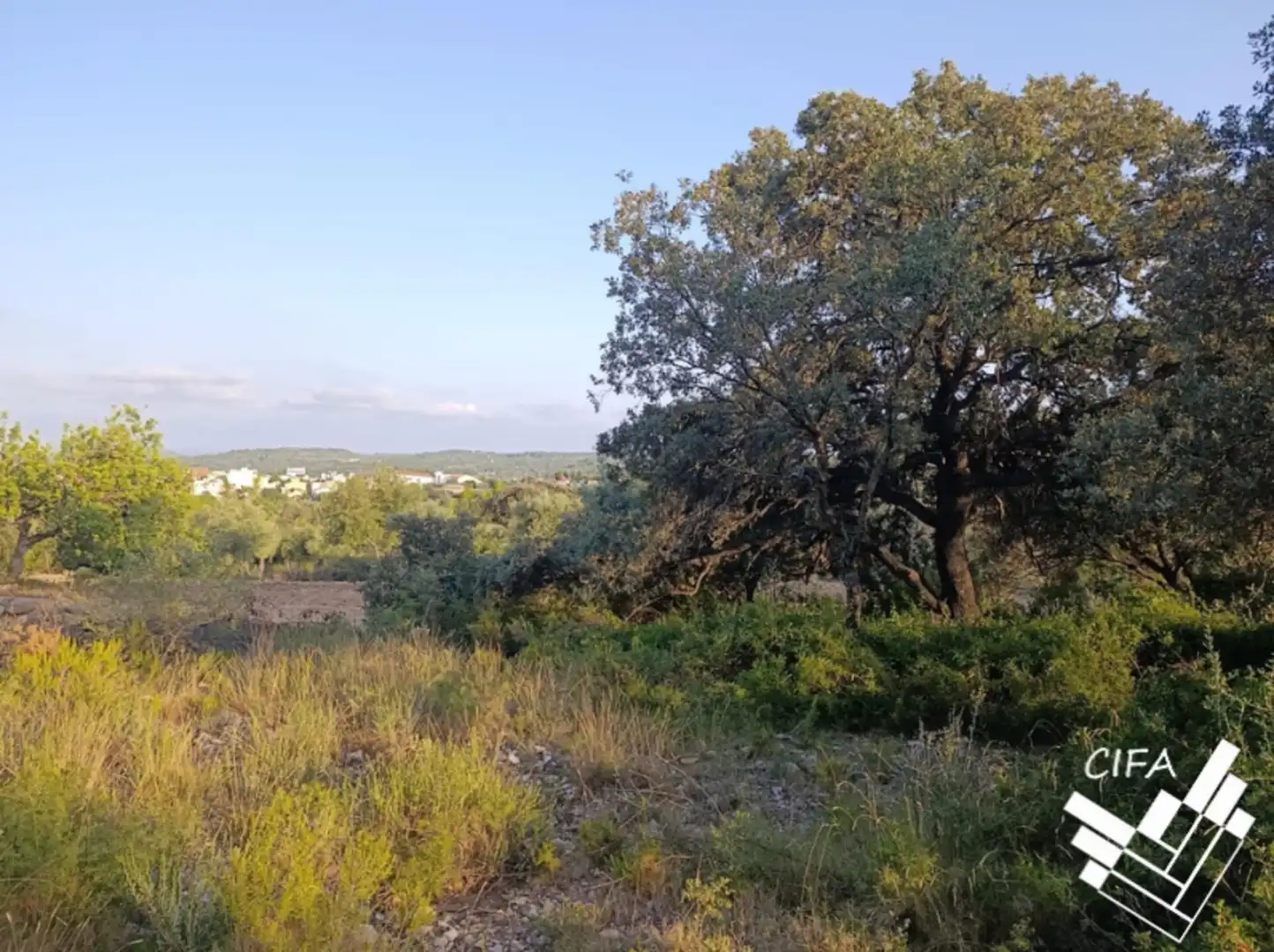 Terreno rustico in vendita a 14, imagen 11