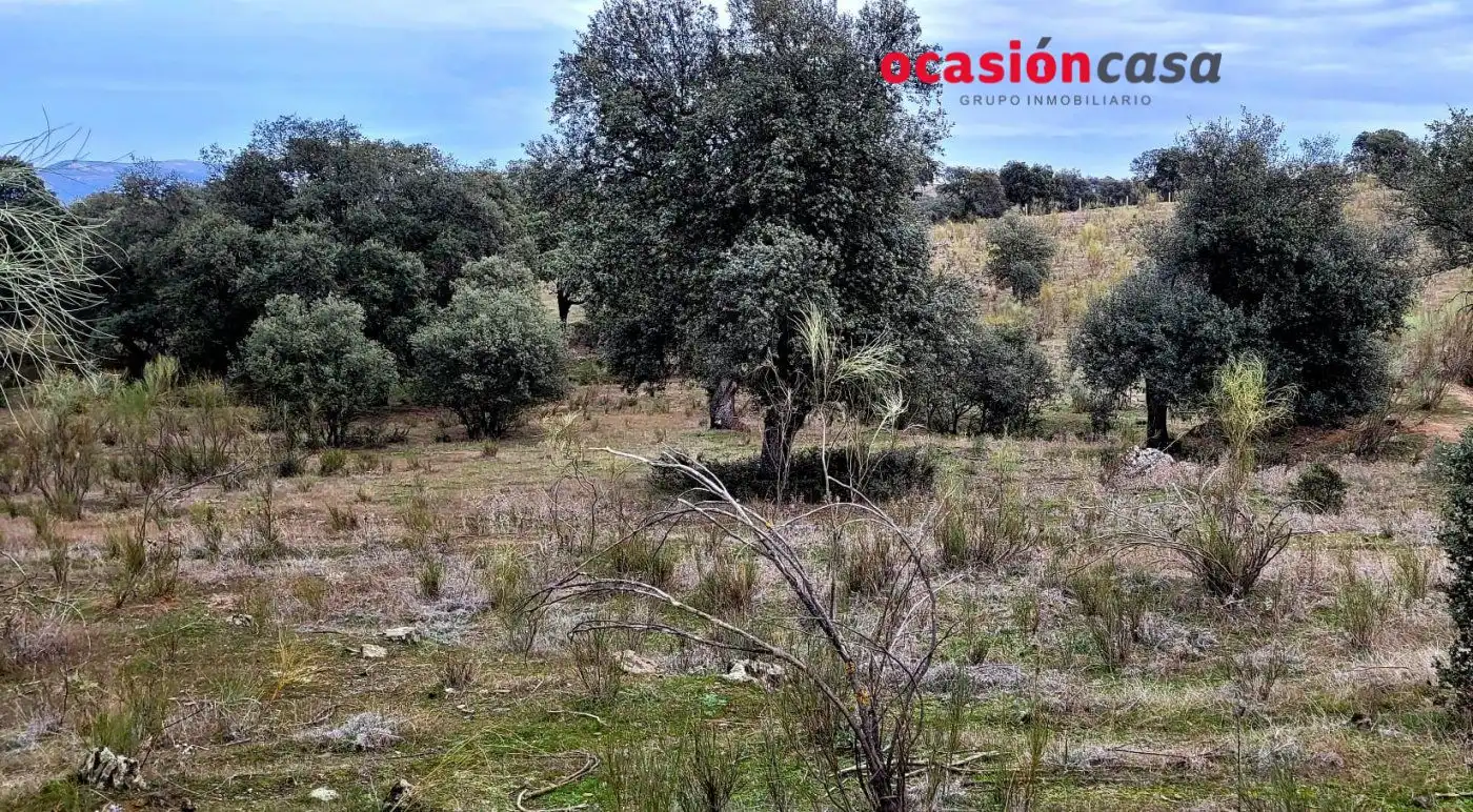 Finca rústica en venta en Torrecampo
