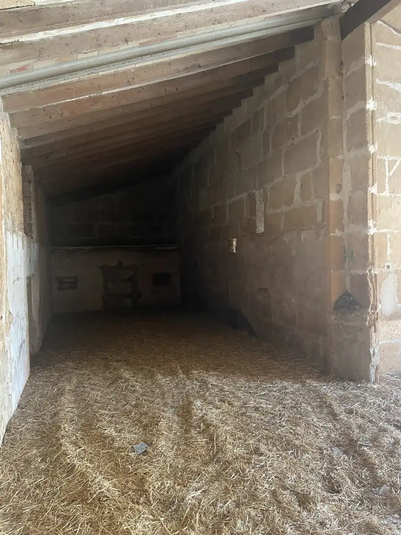 Finca rústica en venta en Santa Margalida