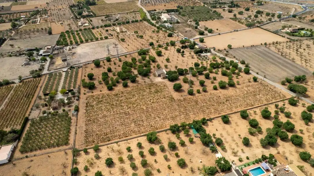 Land for sale in Consell