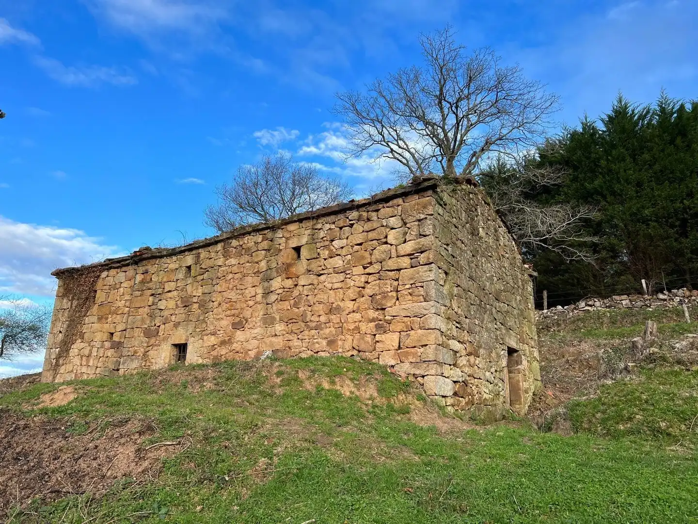 Vista exterior de Casa o chalet en venta en Saro con Jardín privado