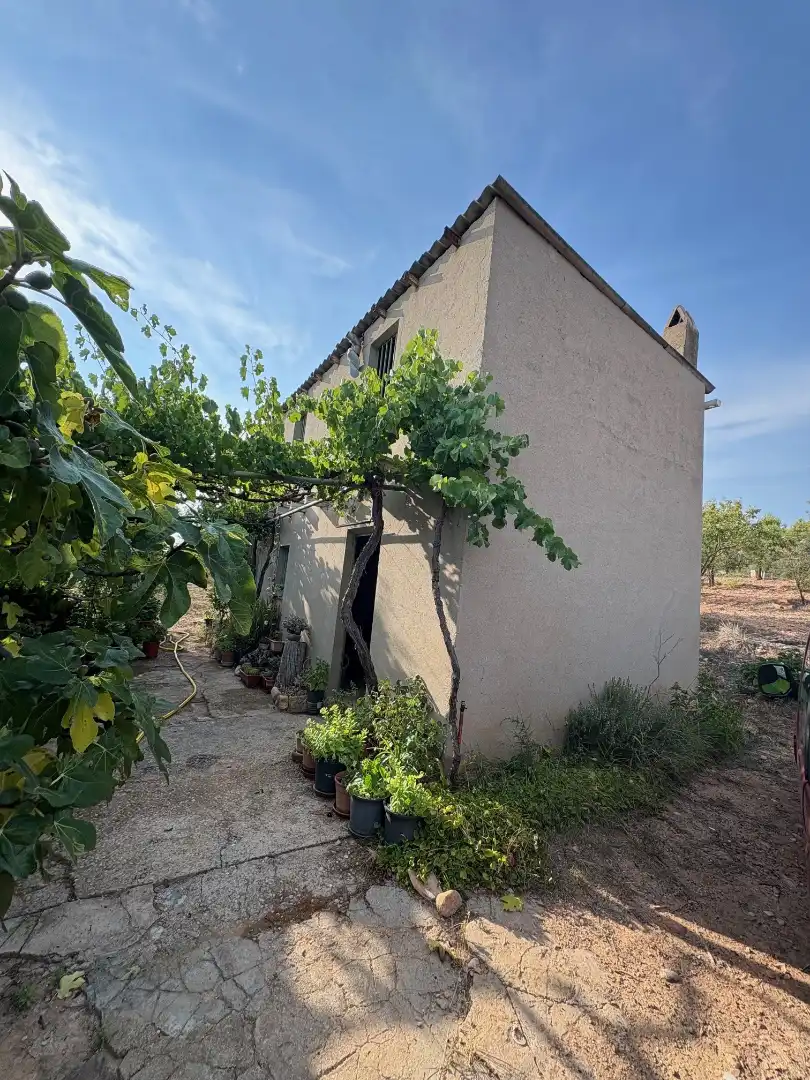 Vista exterior de Finca rústica en venta en Barberà de la Conca con Amueblado