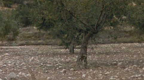 Suelo rústico en Ibi.