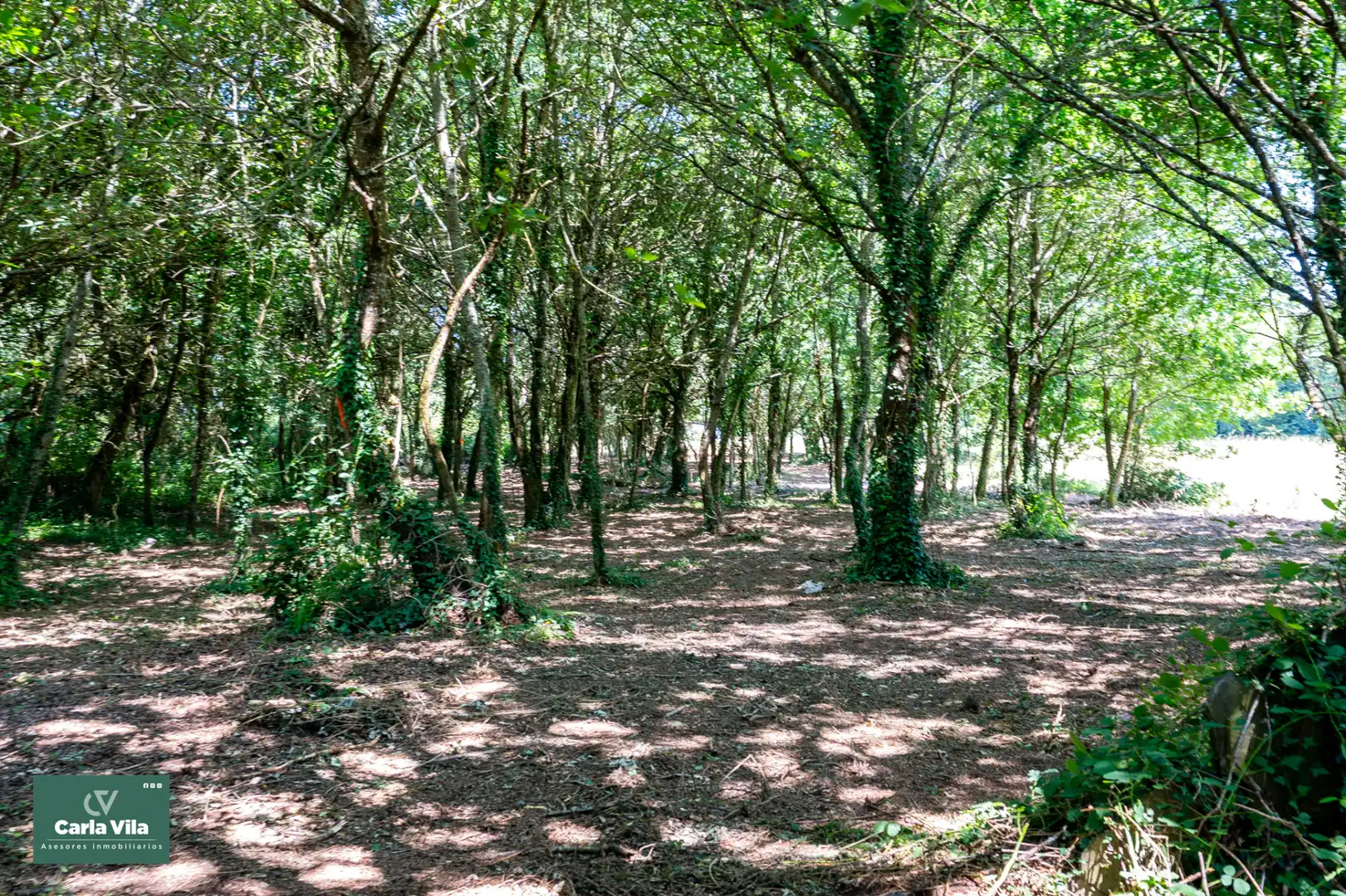 Finca rústica en venta en Lugo con Jardín privado y Balcón