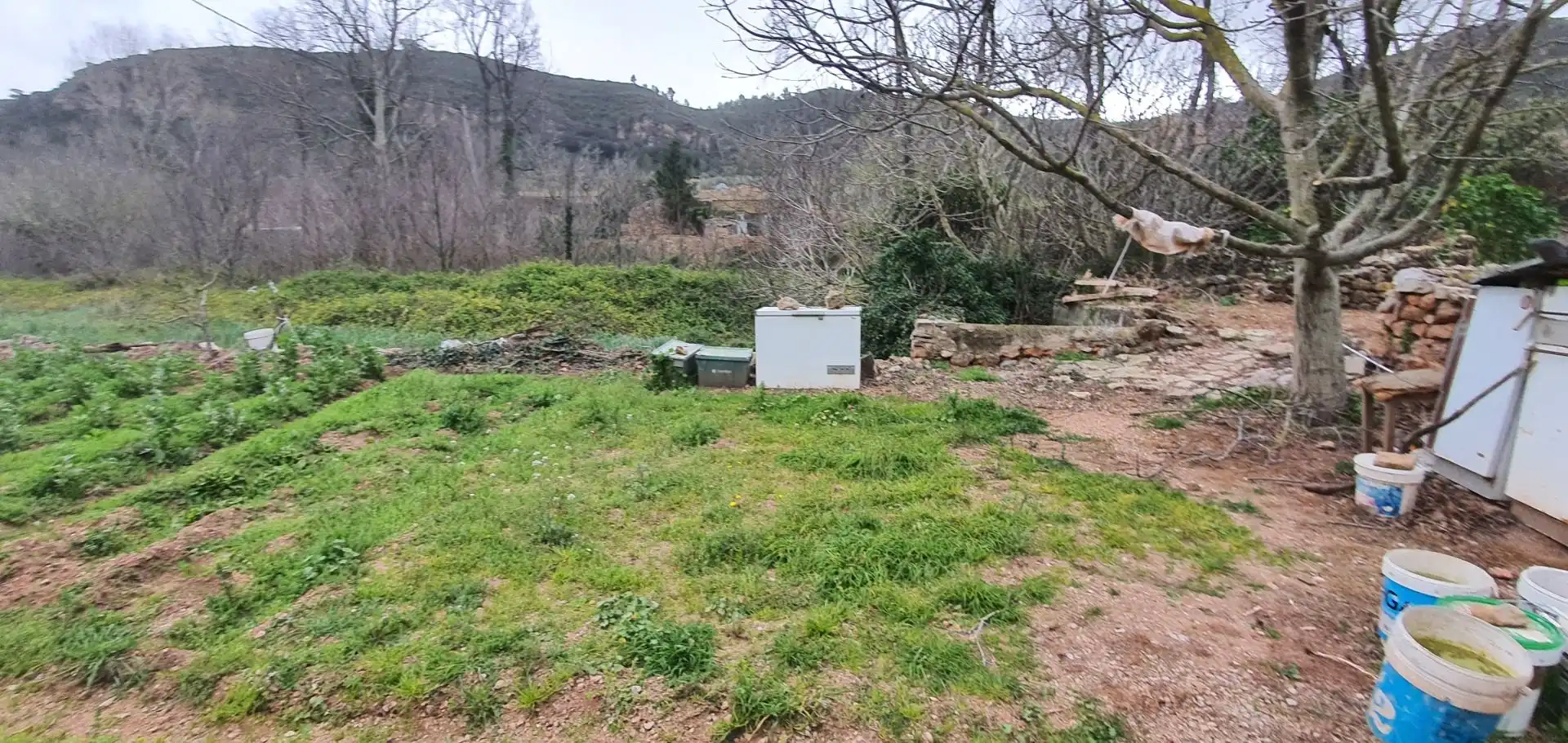 Casa o xalet en venda en Alfara de Carles