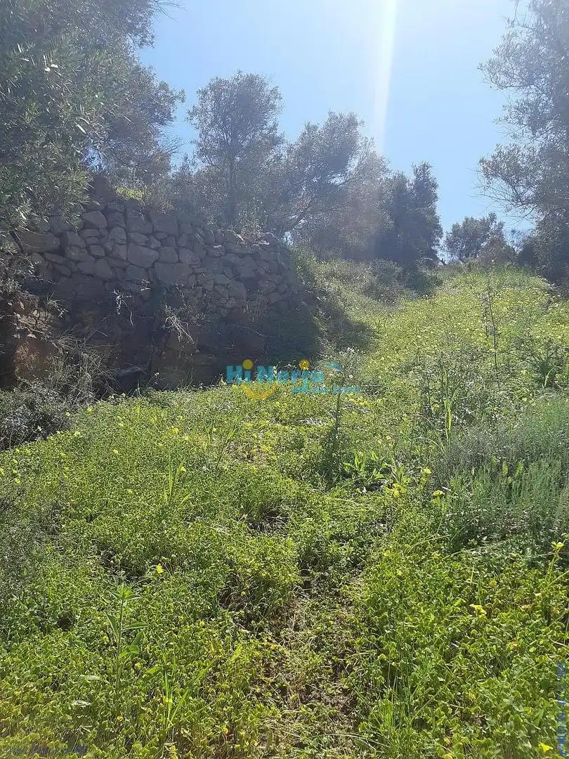 Terreni e lotti in vendita a Torrox Pueblo, imagen 9