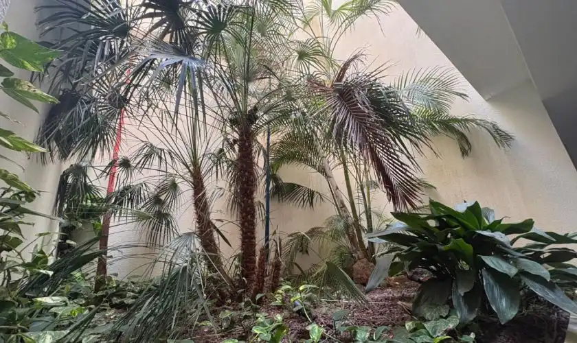 Wohnung mit Aufzug zum Verkauf in Calle el Fielato 1, imagen 24