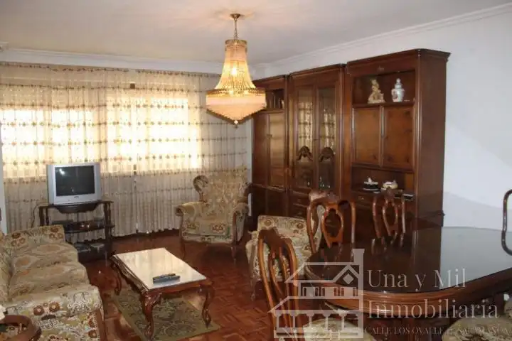 Sala d'estar de Pis de lloguer en Salamanca amb Calefacció, Parquet i Terrassa