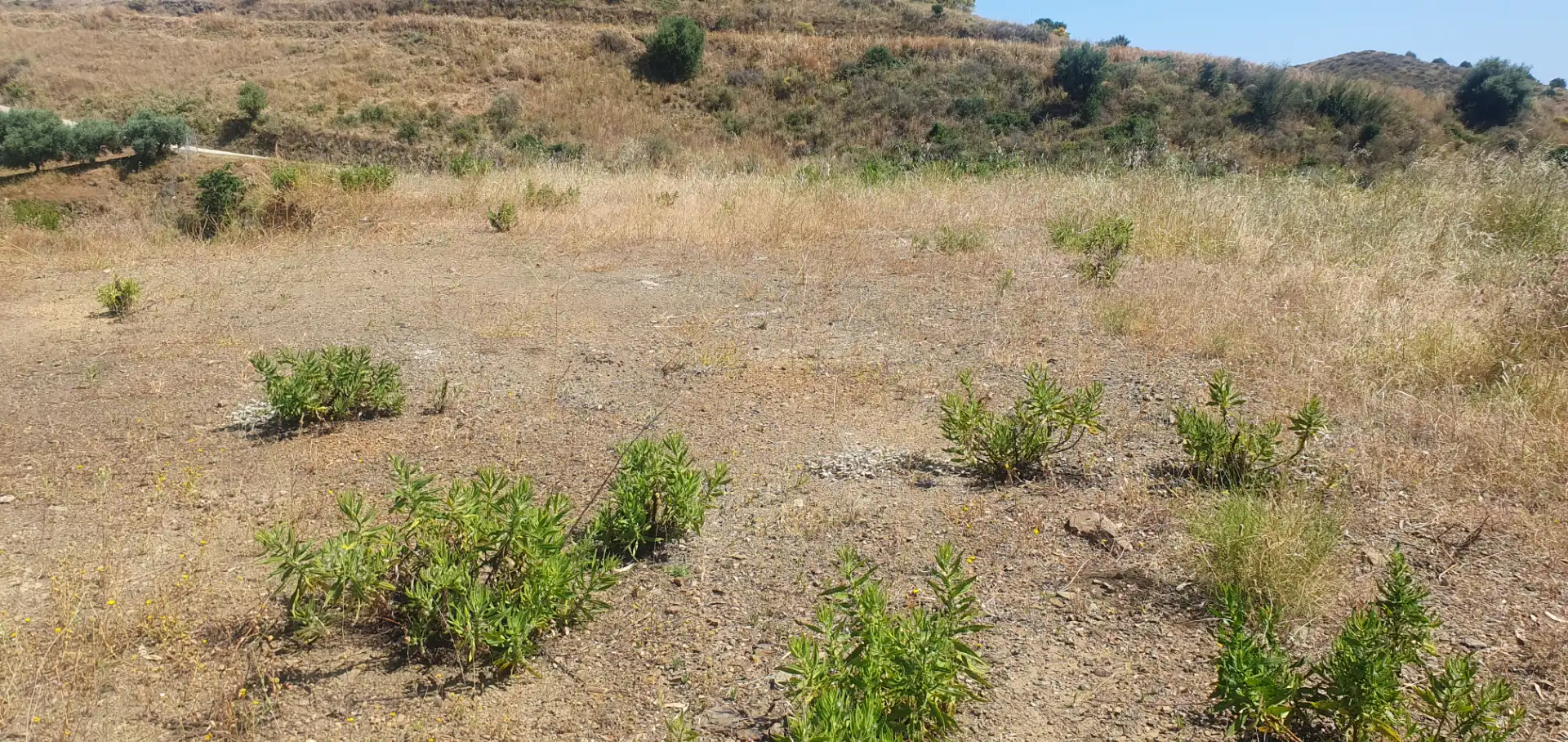 Terreni e lotti in vendita a Urbanización Pueblo Valtocado 37, imagen 13
