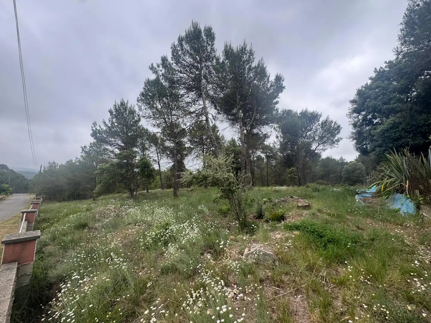 Terreno residenziale in vendita a Avinguda del Bosc, imagen 8