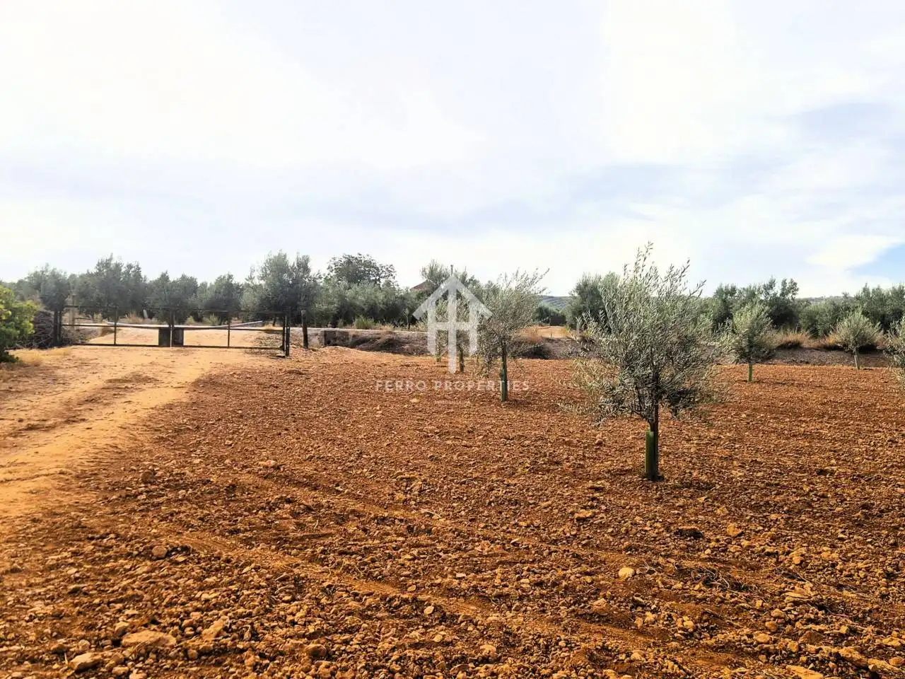 Rural land for sale in Moraleda de Zafayona, imagen 11