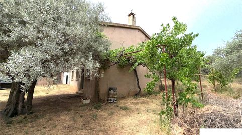 Foto 3 de Finca rústica en venda a Diseminado Diseminados, Morata de Jalón, Zaragoza