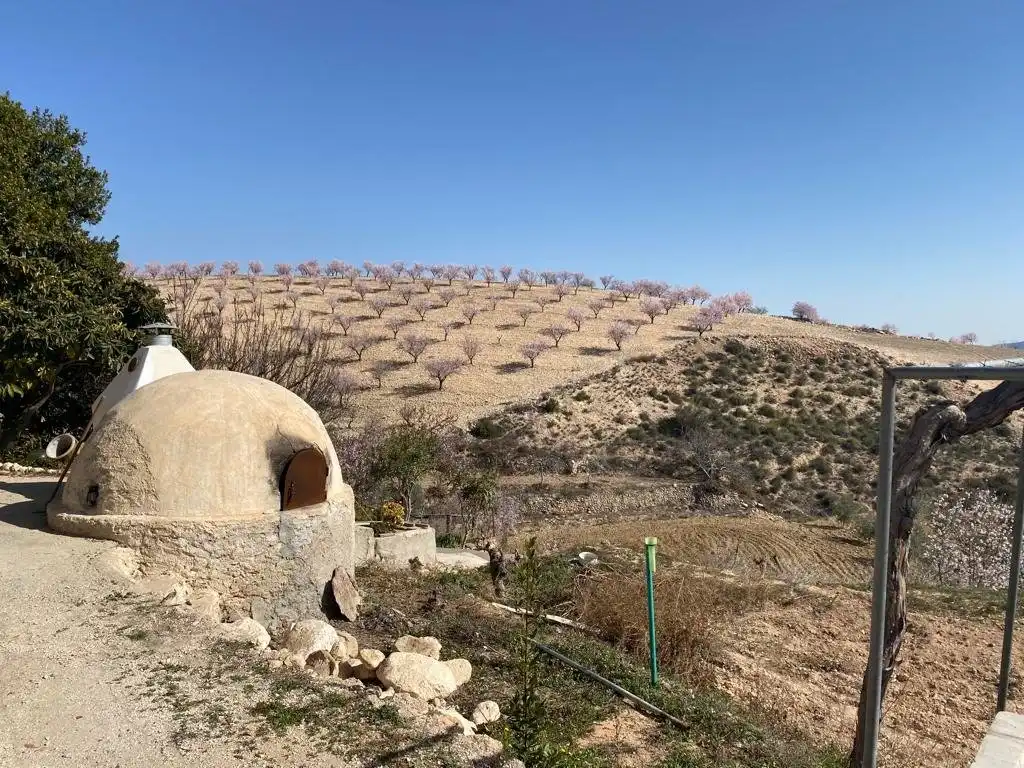 Vista exterior de Finca rústica en venta en Lorca con Terraza