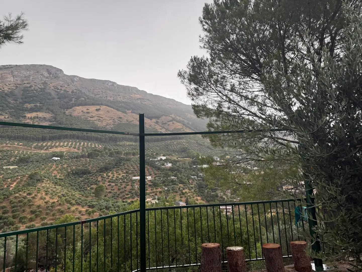 Garten von Country house zum Verkauf in Jaén mit Privatgarten, Terrasse und Schwimmbad