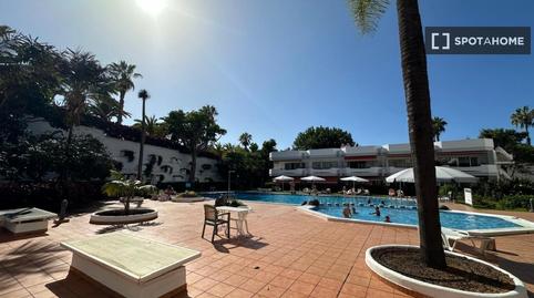 Foto 2 de Estudi per a compartir a Zona Botánico, Puerto de la Cruz