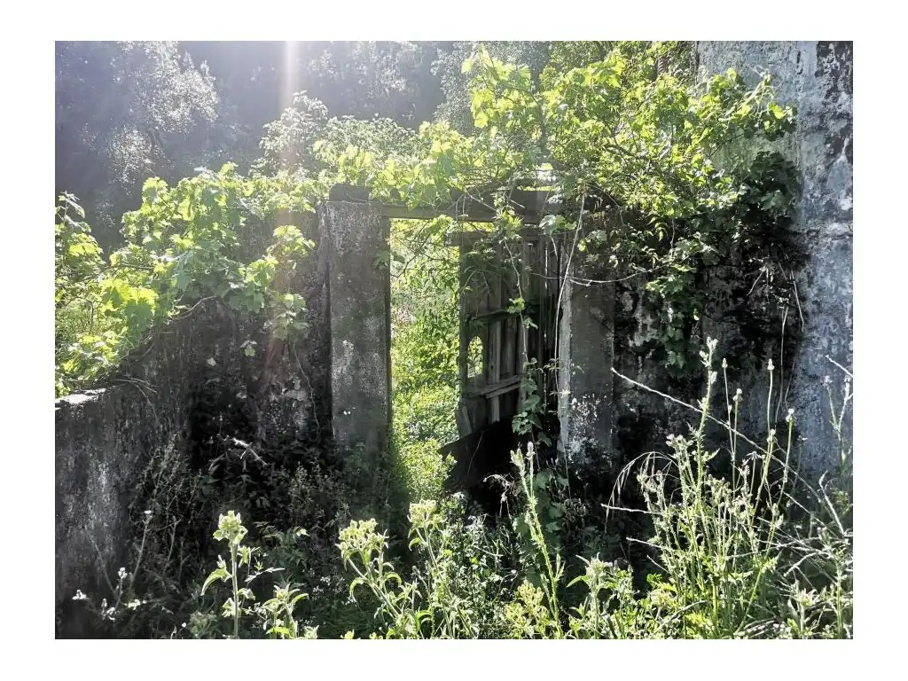 Jardí de Finca rústica en venda en Jubrique