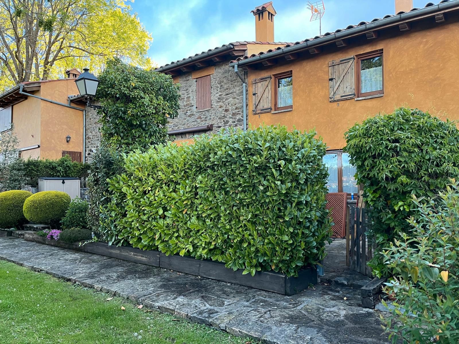 Vista exterior de Casa adosada en venda en Molló amb Jardí privat i Moblat