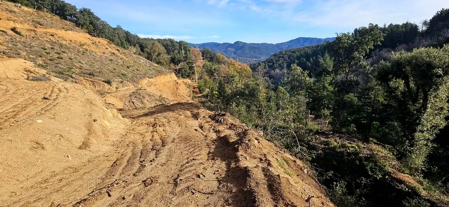 Vista exterior de Finca rústica en venta en Arbúcies con Jardín privado, Terraza y Amueblado