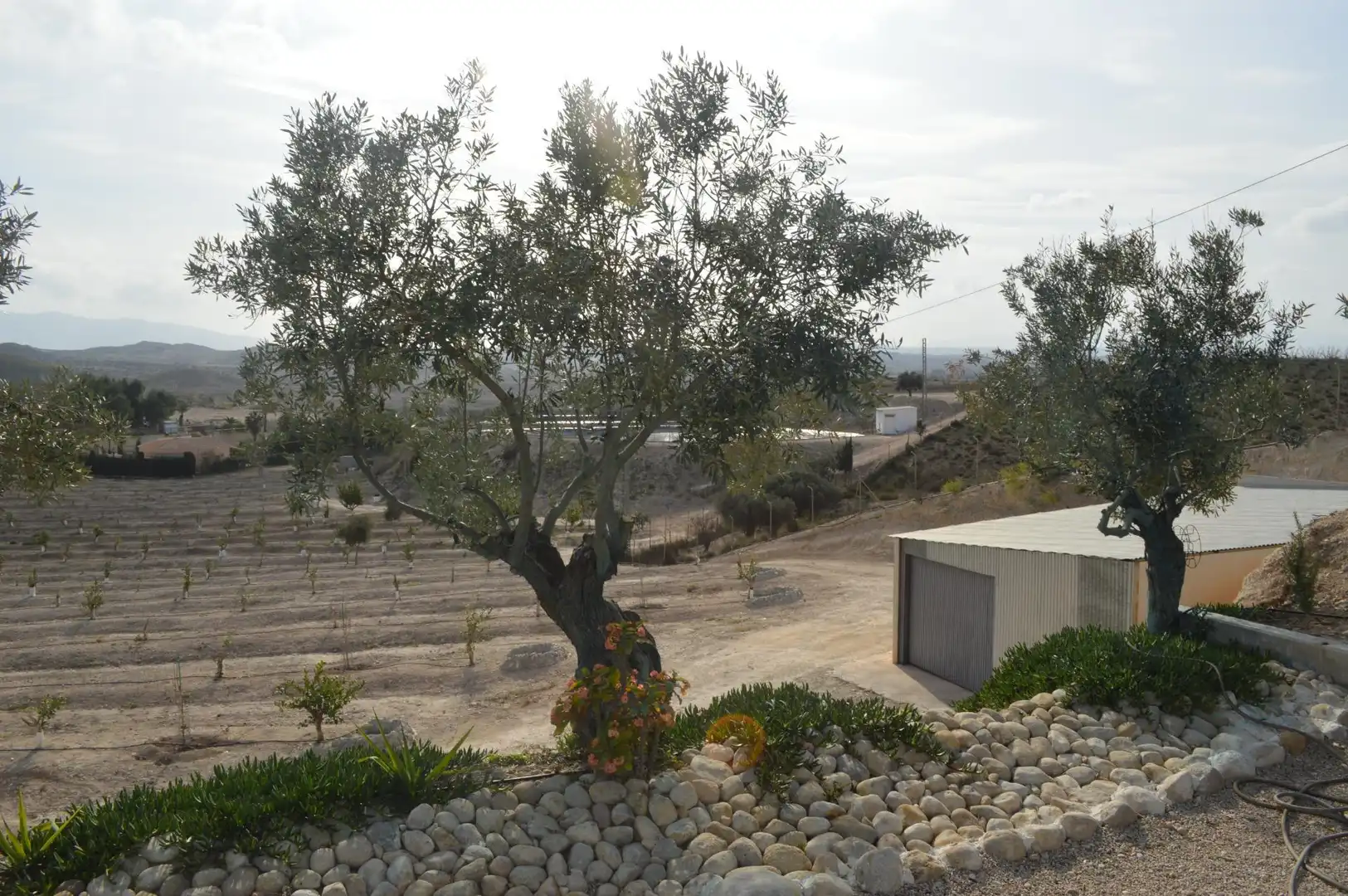 Außenansicht von Residential zum Verkauf in Las Torres de Cotillas