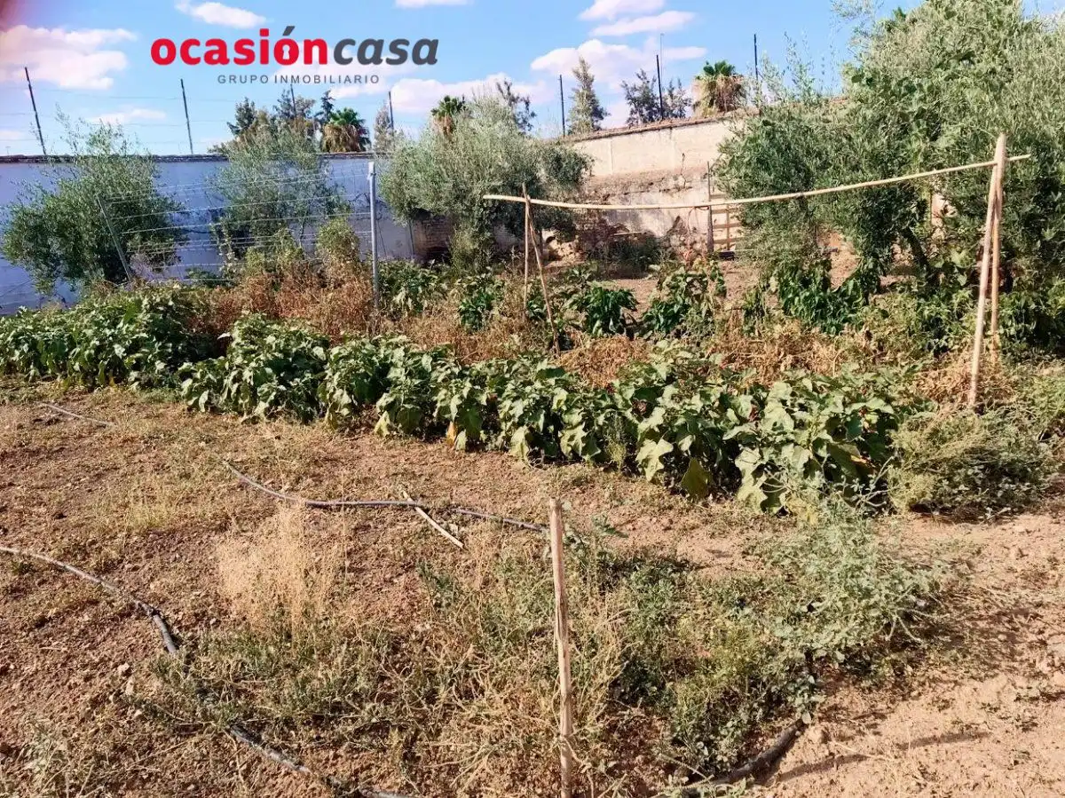 Lands and plots for sale in Belmez, imagen 5