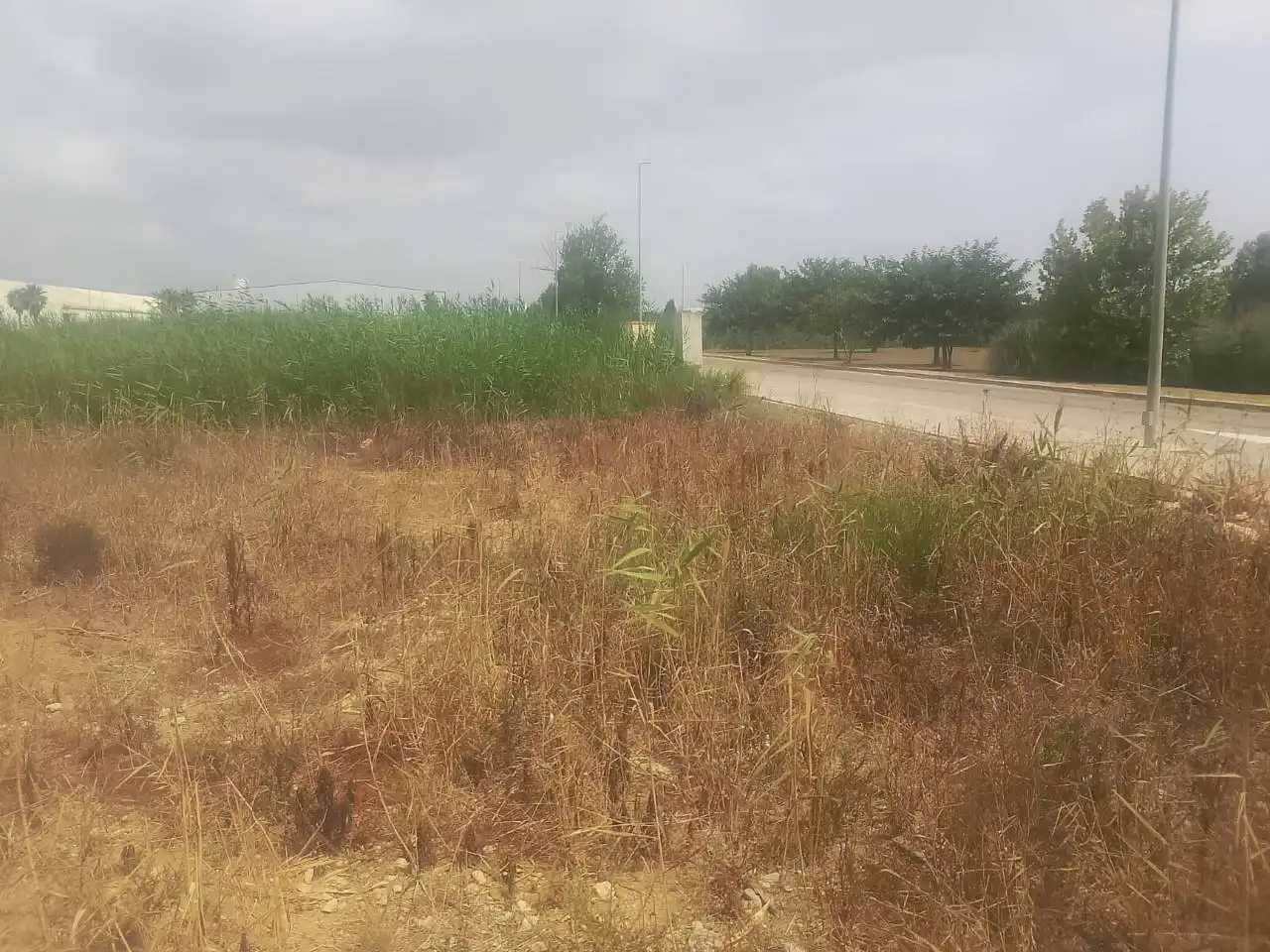 Industrial land for sale in Calle Estacio, imagen 6