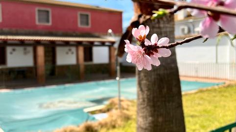 Foto 2 de Casa o xalet en venda a Lora de Estepa, Sevilla