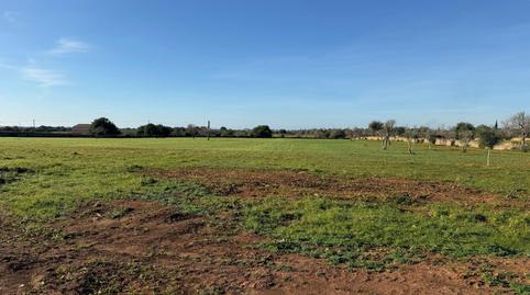 Foto 2 von Grundstücke zum Verkauf in Cala Ferrera - Cala Serena, Felanitx