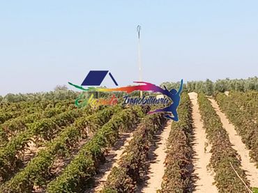 Terreno rustico in vendita a Villafranca de los Caballeros