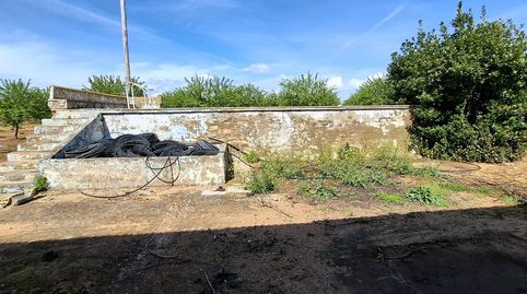 Foto 4 de Terreno en venta en Polígono Polígono 85 Paraje 534 Mataburras, Pedanías Sur, Utrera