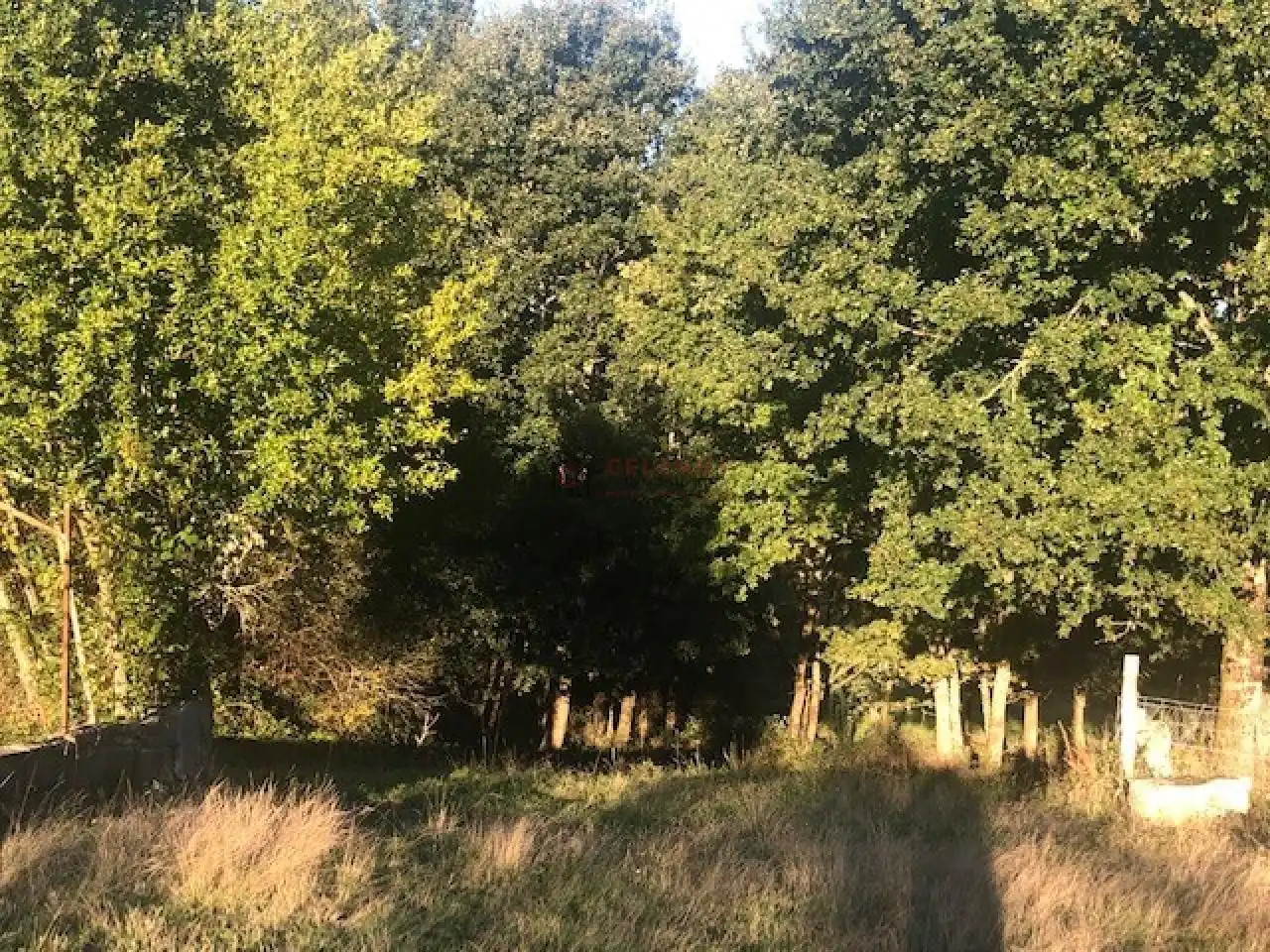 Terreni e lotti in vendita a Nogueira de Ramuín, imagen 16