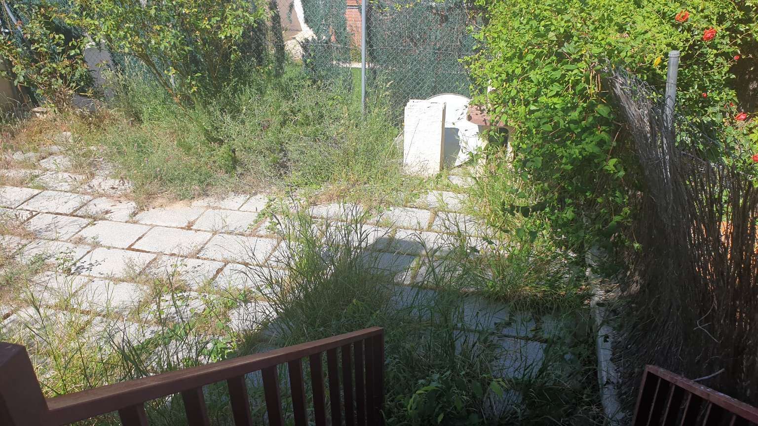 Jardí de Casa o xalet en venda en Calatayud amb Jardí privat