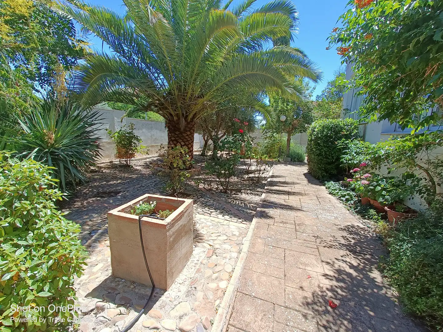 Jardí de Casa o xalet en venda en Nambroca amb Calefacció, Jardí privat i Moblat