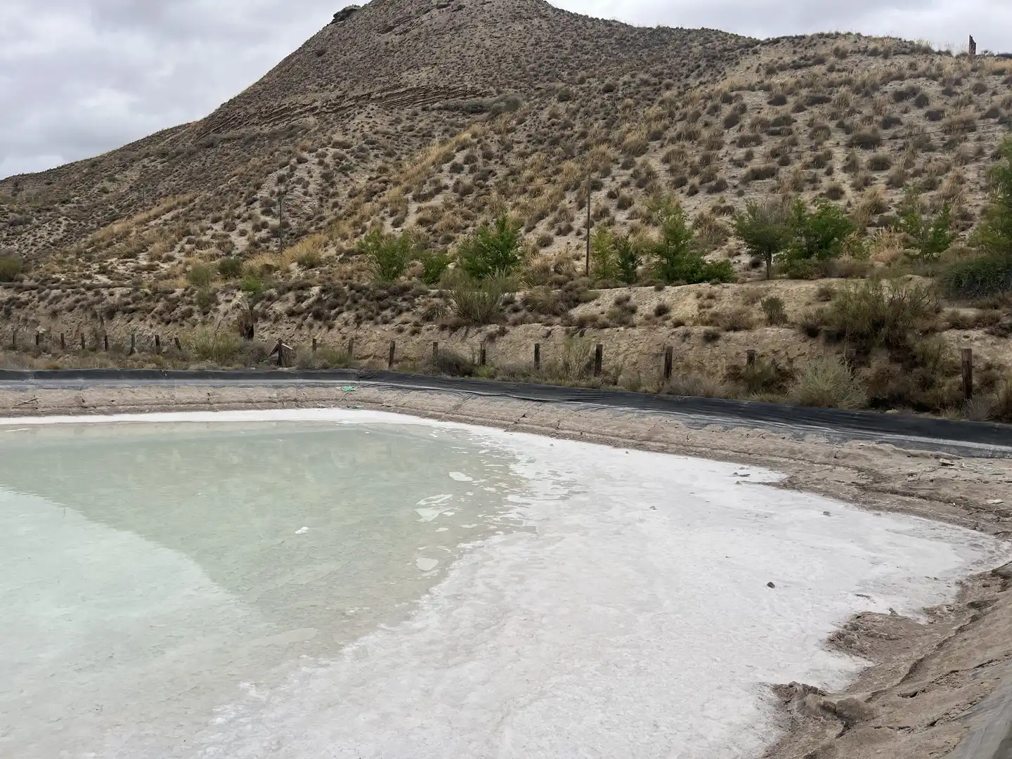 Swimming pool of Industrial land for sale in La Malahá
