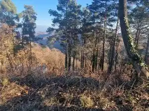Residential land for sale in Diseminado Rust Muntanyola 27, imagen 2