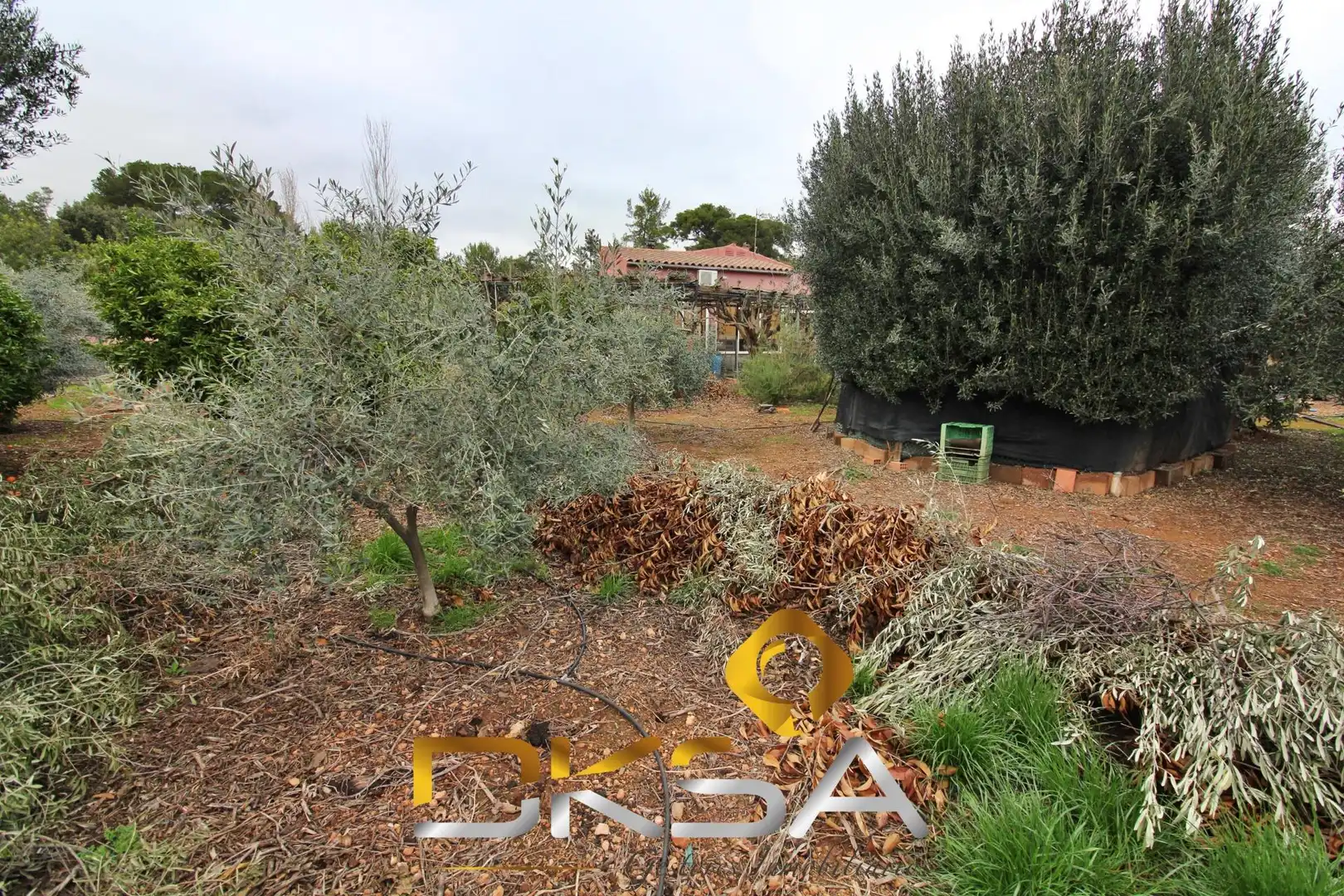 Detached house with pool for sale in Partida MADRIGAL O, imagen 48